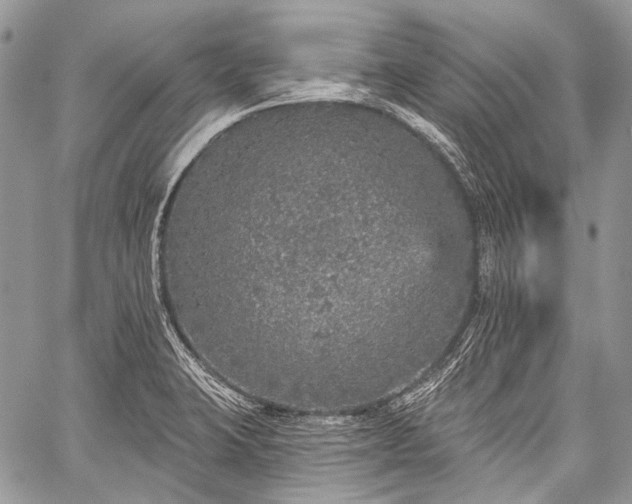 X0000059241423200510171419