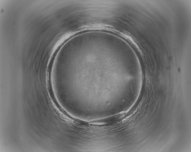 X0000059241424200510171419