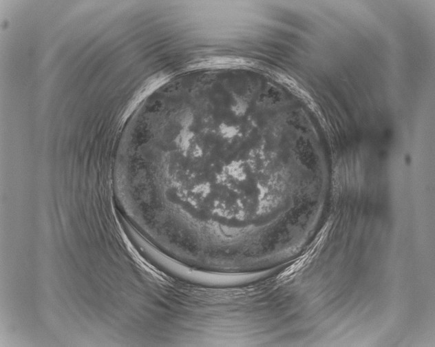 X0000059241425200510171419