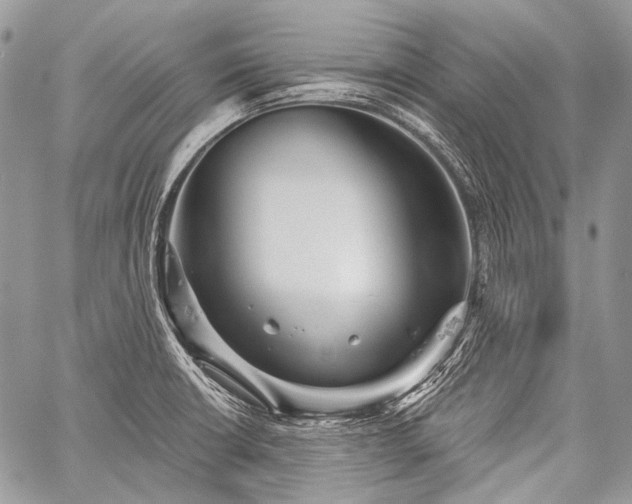 X0000059241426200510171419