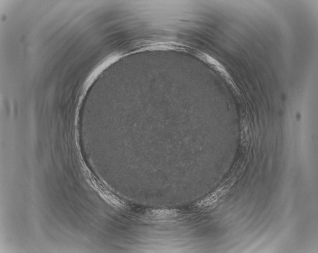 X0000059241427200510171419