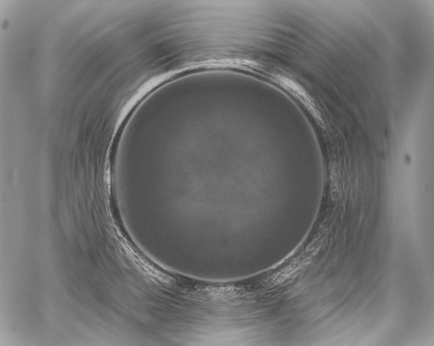 X0000059241428200510171419