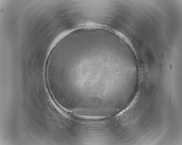 X0000059241429200510171419