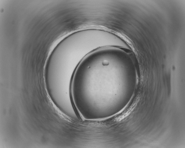 X0000059241430200510171419