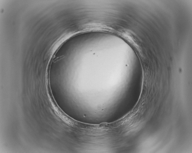 X0000059241431200510171419