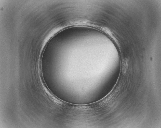 X0000059241432200510171419