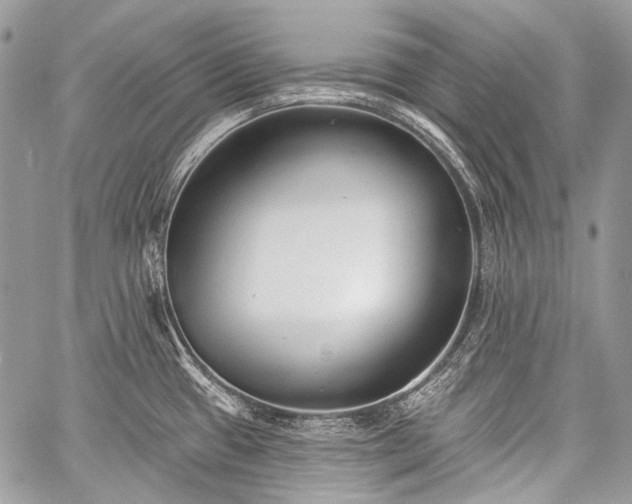 X0000059241433200510171419