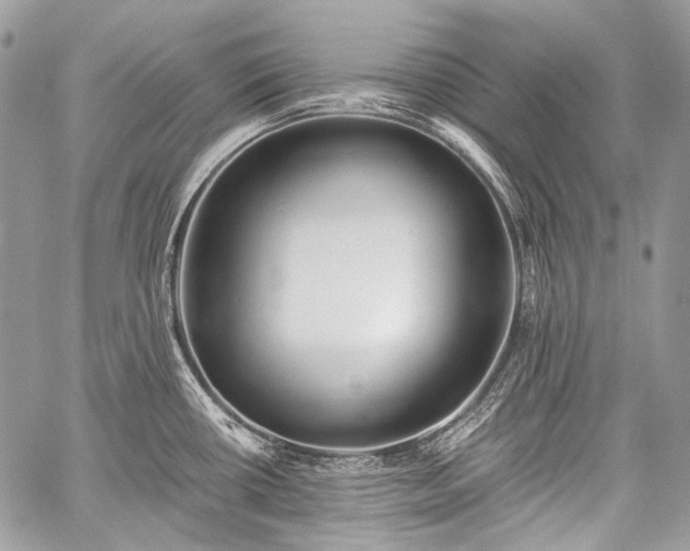 X0000059241434200510171419