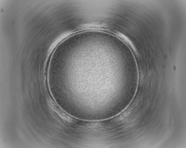 X0000059241435200510171419