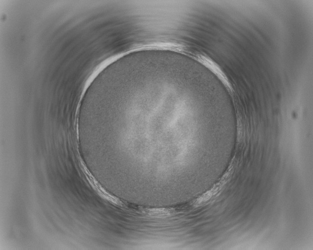 X0000059241436200510171419