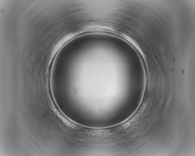 X0000059241437200510171419