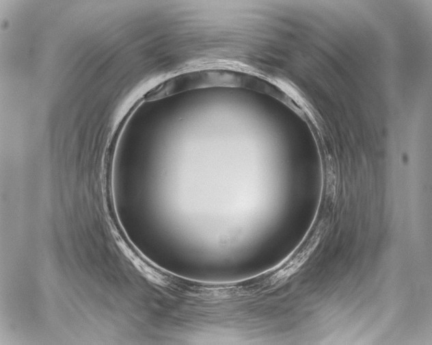 X0000059241438200510171420