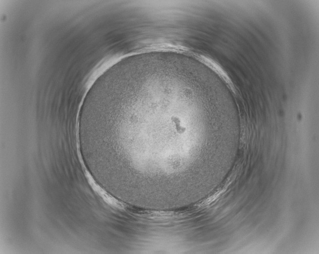 X0000059241439200510171420