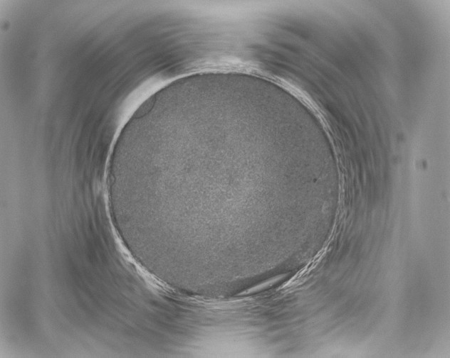 X0000059241440200510171420