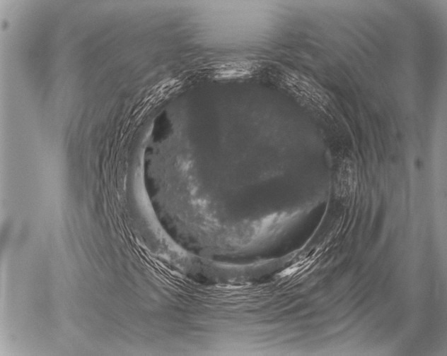 X0000059241441200510171419