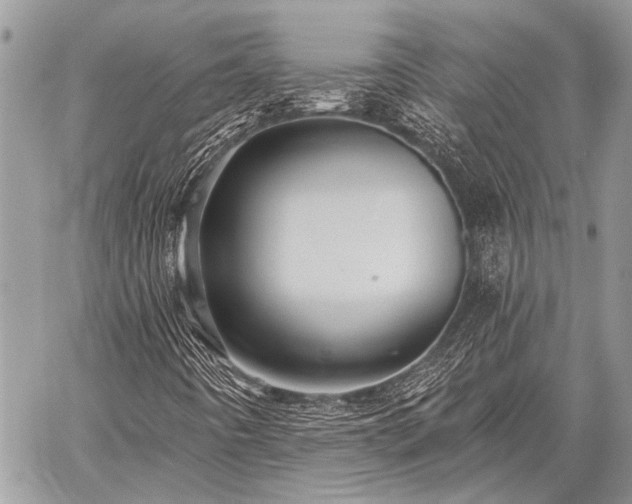 X0000059241442200510171419