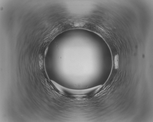 X0000059241443200510171419