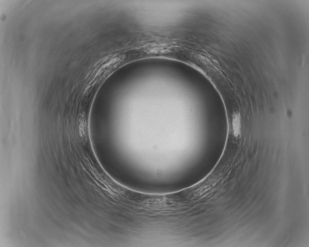 X0000059241444200510171419