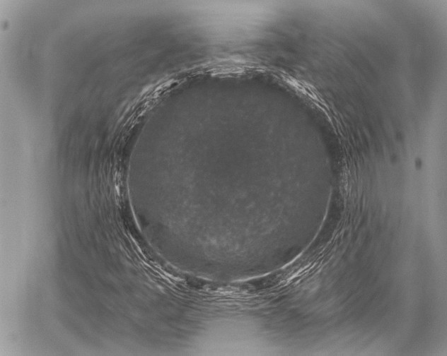 X0000059241445200510171419