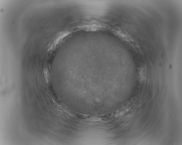 X0000059241446200510171419