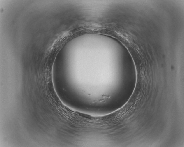 X0000059241447200510171419