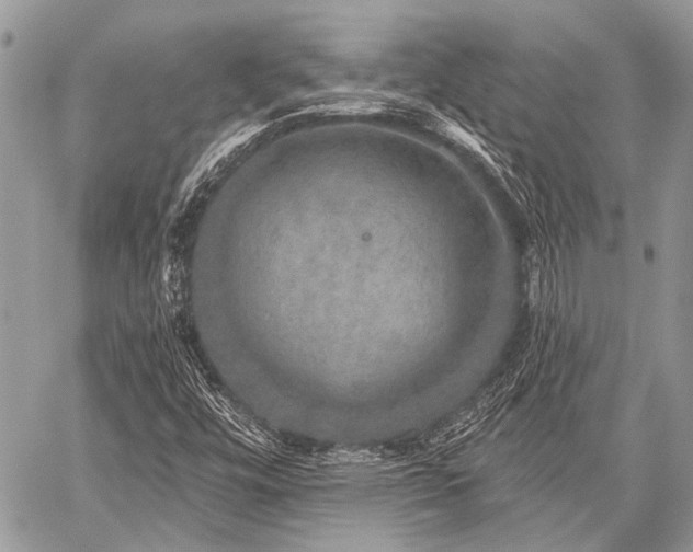 X0000059241448200510171419