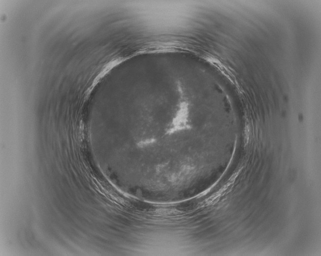 X0000059241449200510171419