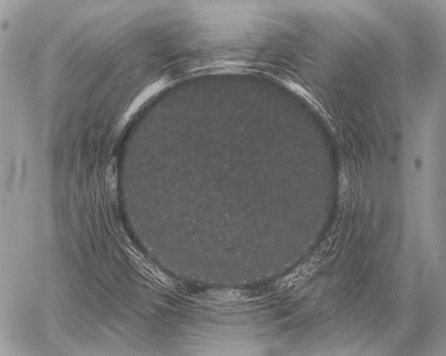 X0000059241450200510171419