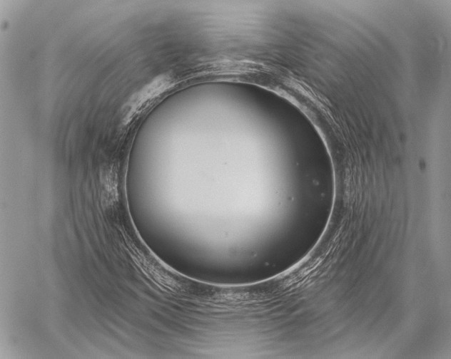 X0000059241451200510171419