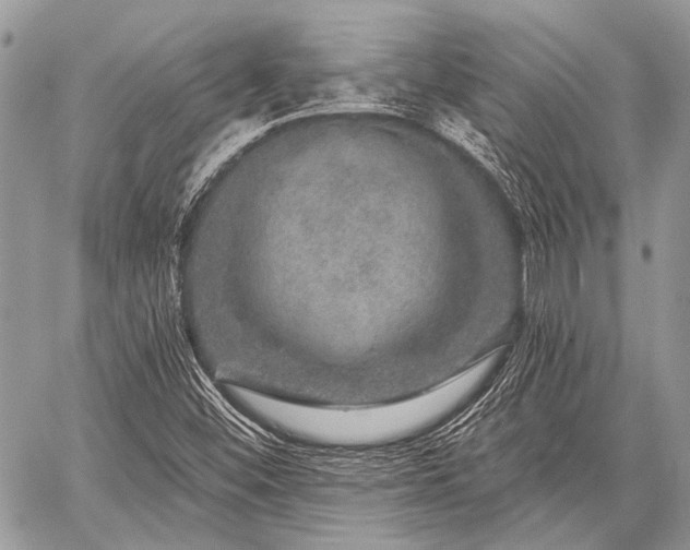 X0000059241452200510171419