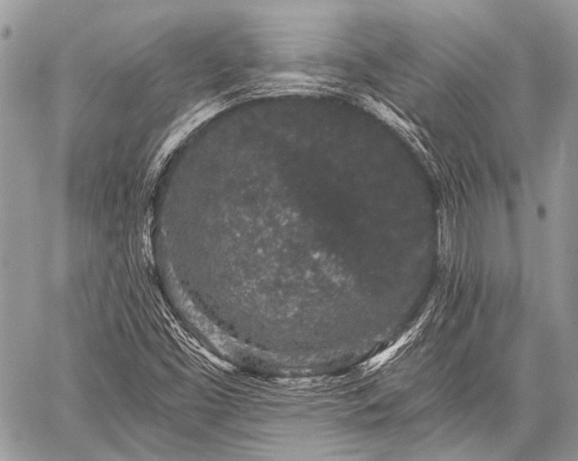 X0000059241453200510171419