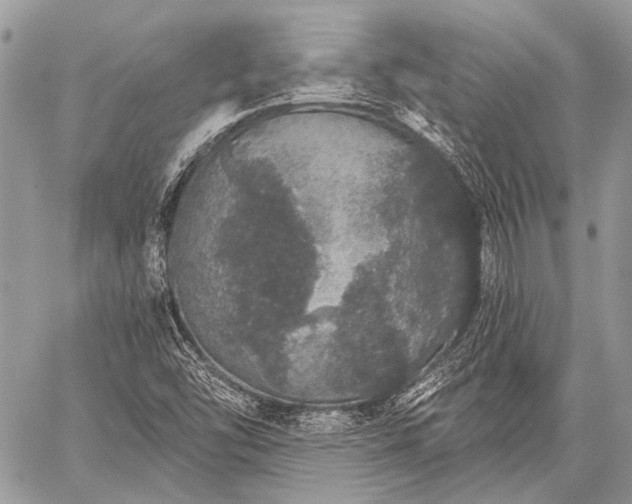 X0000059241454200510171419