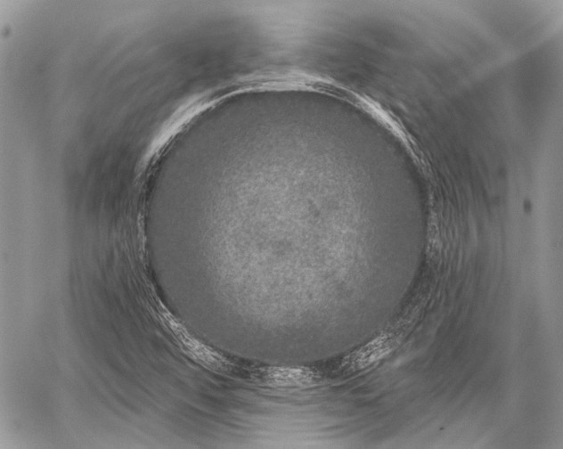 X0000059241456200510171418