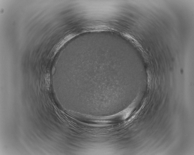 X0000059241457200510171418