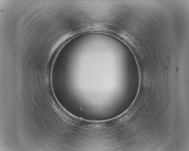 X0000059241458200510171418