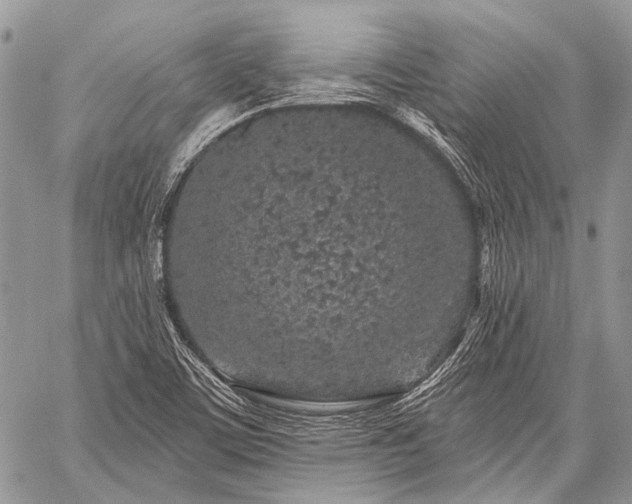 X0000059241459200510171418