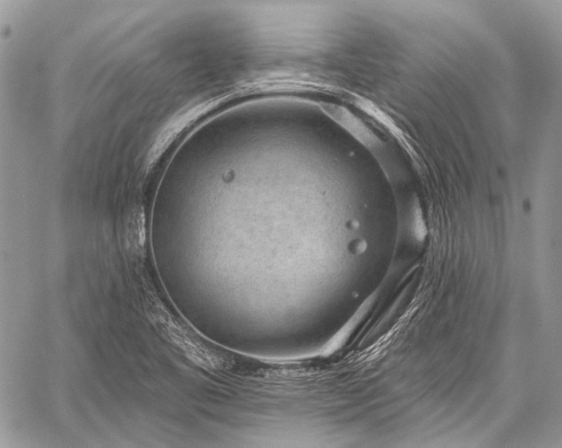 X0000059241461200510171418