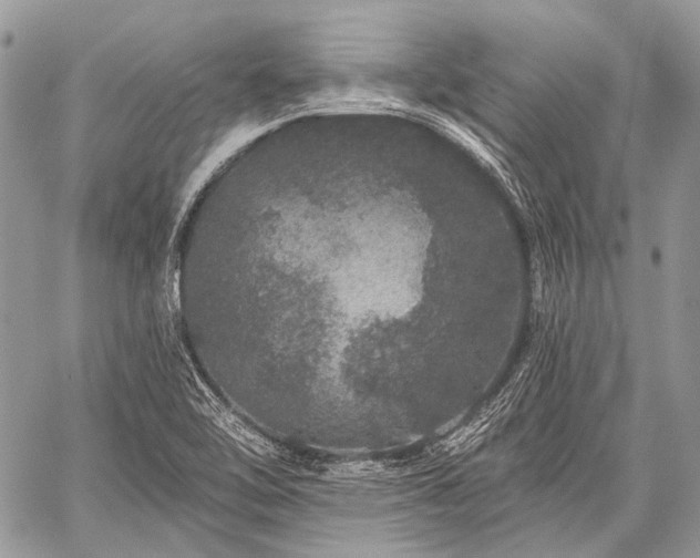 X0000059241462200510171418