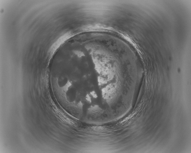 X0000059241463200510171418