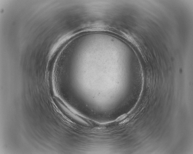 X0000059241464200510171418