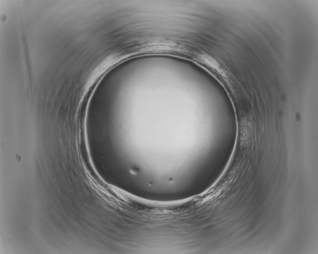 X0000059241467200510171418