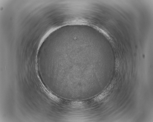 X0000059241470200510171418