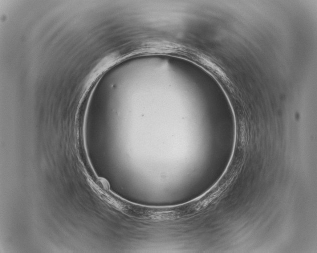 X0000059241471200510171418