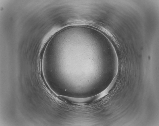 X0000059241472200510171418