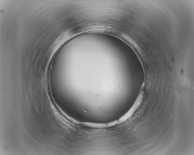 X0000059241475200510171418