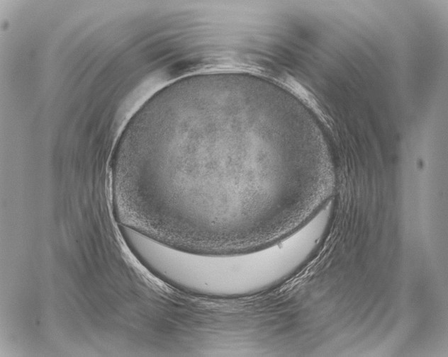 X0000059241476200510171418