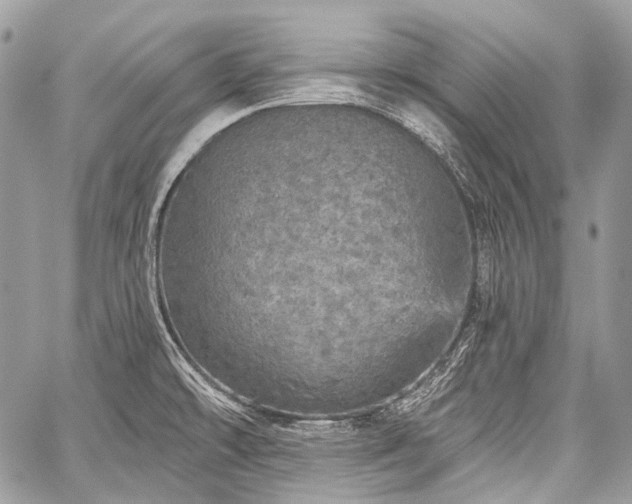 X0000059241478200510171418