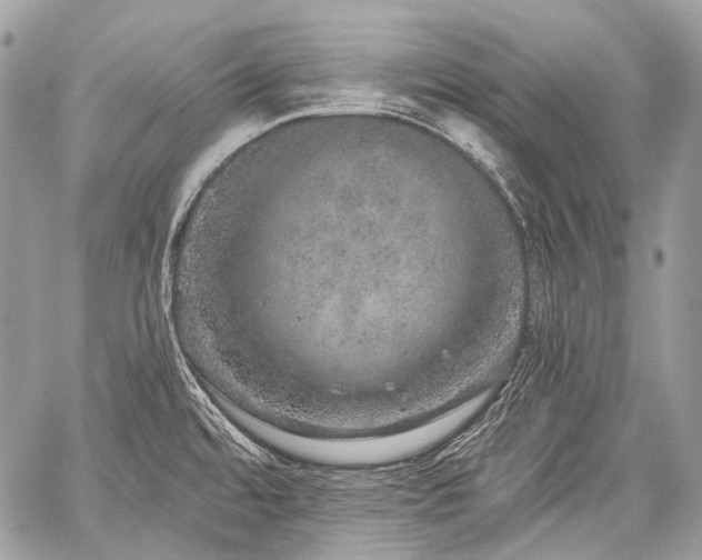 X0000059241480200510171418