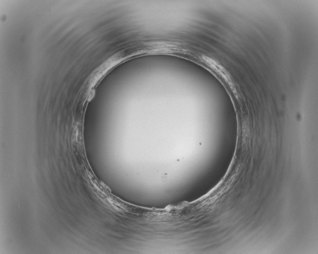 X0000059241481200510171418