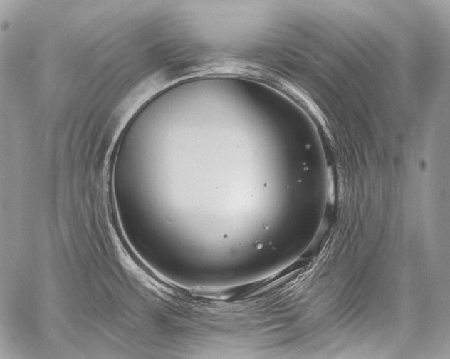 X0000059241483200510171418